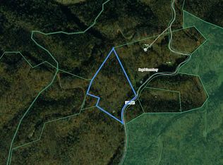 2231 Fox Fire Rd, Vansant, VA 24656