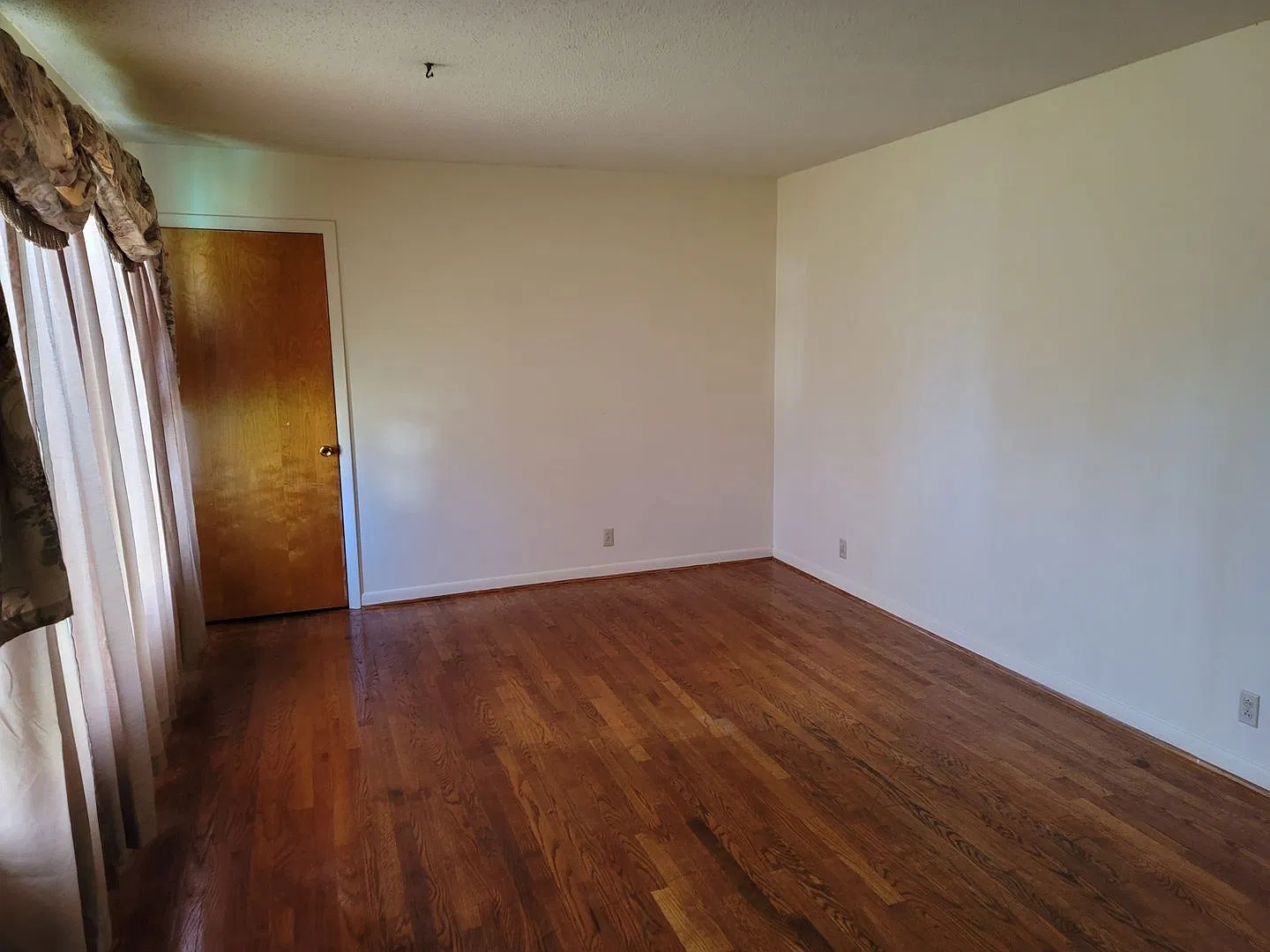 Charming walkout basement ranch home with 3 BR / 2 BA. — Photo 3