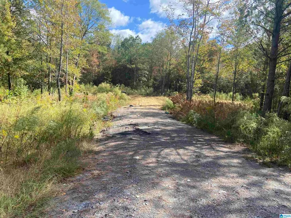 4 Mill Creek Rd, Nauvoo, AL 35578