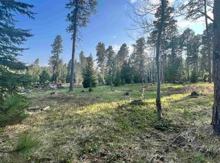 11233 Cougar Ct, Lead, SD 57754