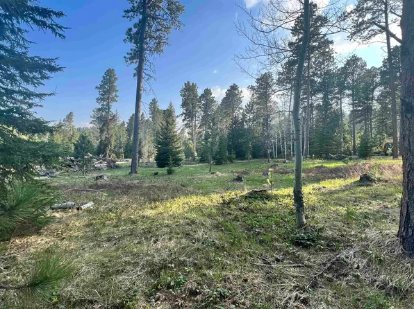 11233 Cougar Ct, Lead, SD 57754