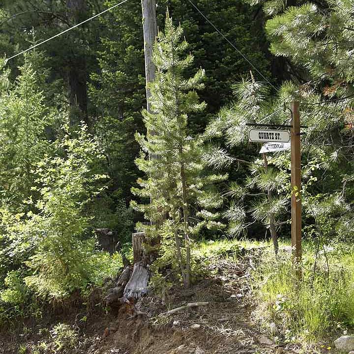 2nd image of Tbd Arthur Macy