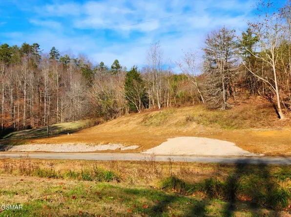2393 Lower Rinehart Rd, Dandridge, TN 37725