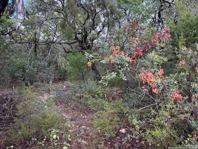 19011 Snuggle Cliff LOT 11, San Antonio, TX, 78255