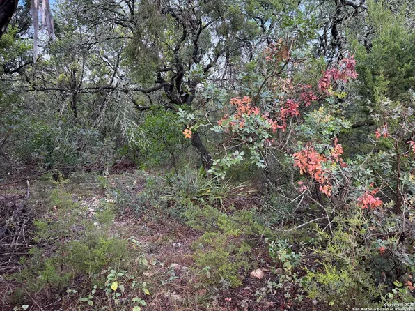 19011 Snuggle Cliff LOT 11, San Antonio, TX 78255