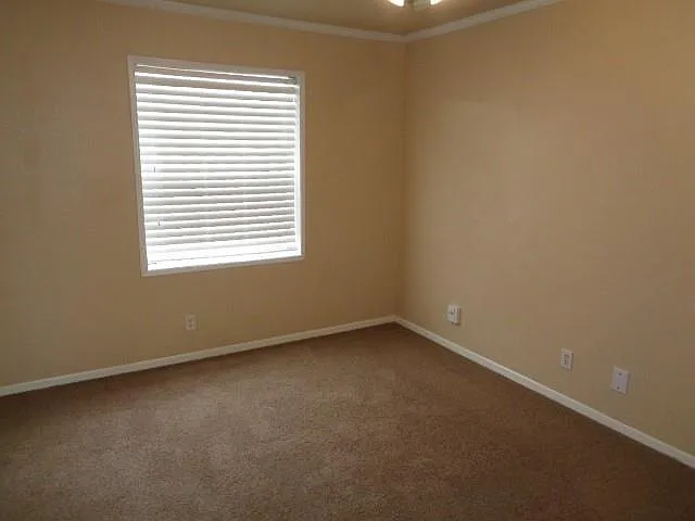 10002 Sugarvine Ln — Photo 9