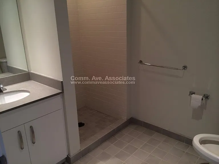 601 Albany St #308 — Photo 5