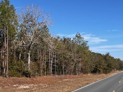4700 NW County Rd #340, Bell, FL, 32619