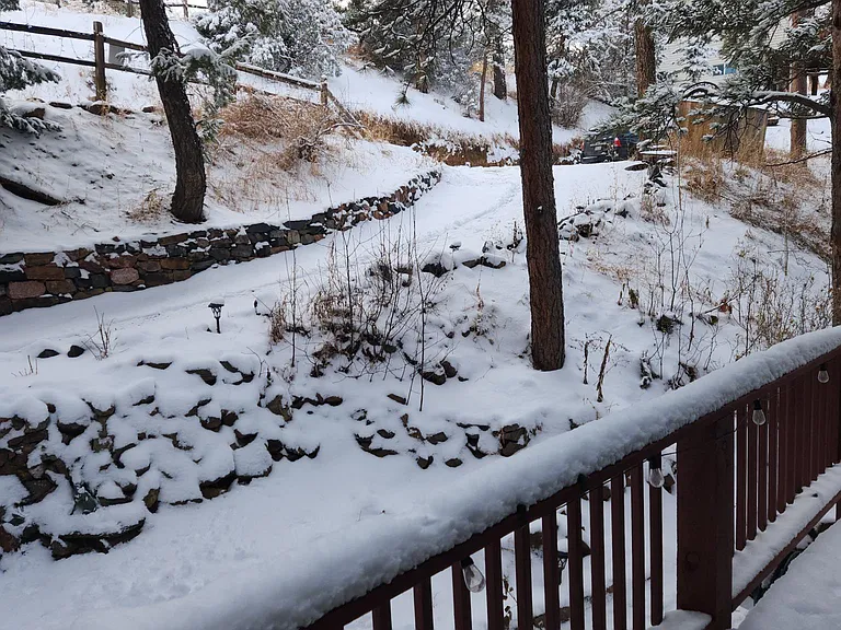 Driveway view, in the winter