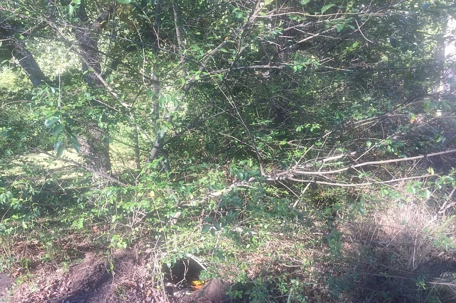 2436 Verner Rd photo 1