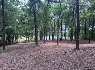 County Road 1503, Alba, TX 75410