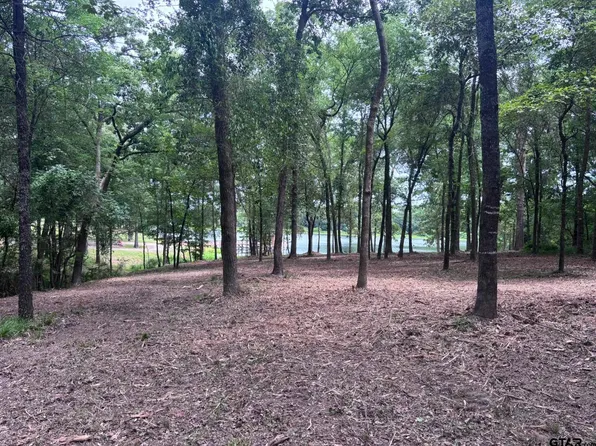 County Road 1503, Alba, TX 75410