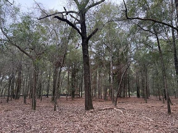 3rd image of 0 Danner Rd #I