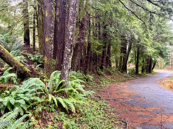 2nd image of Tl100 Nf #17