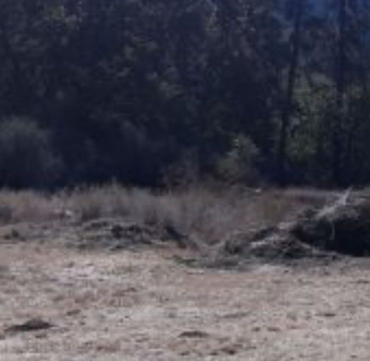 1st image of 775 Barker Valley Rd
