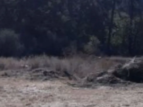 775 Barker Valley Rd, Hayfork, CA 96041
