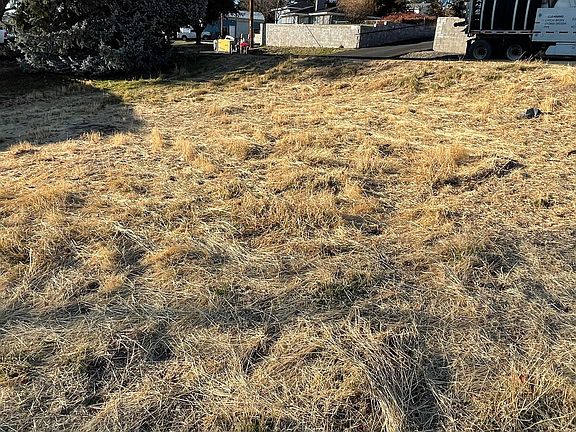 2nd image of 21 Donegal Ave