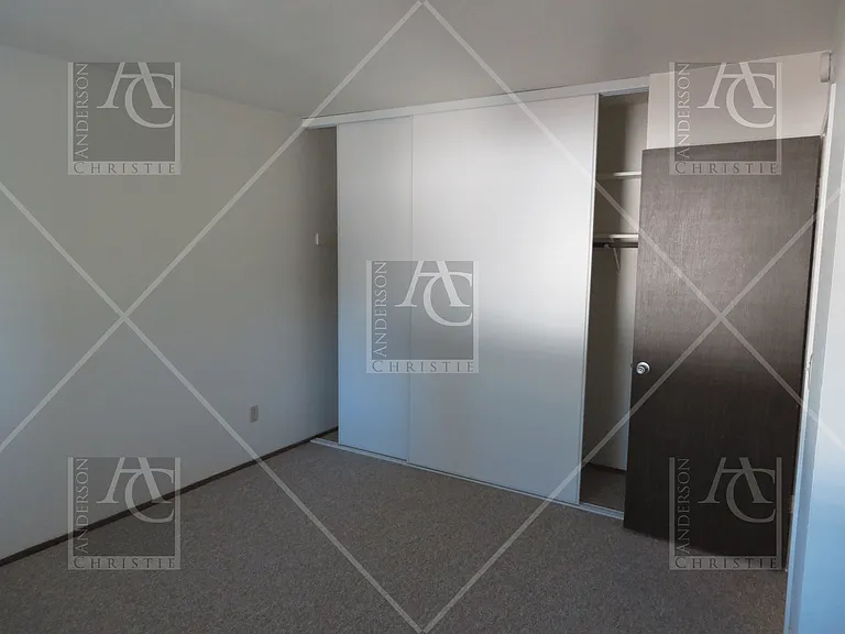 204 Castillion Ter — Photo 11