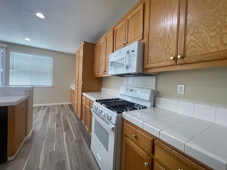 836 Shasta Daisy Dr — Photo 14