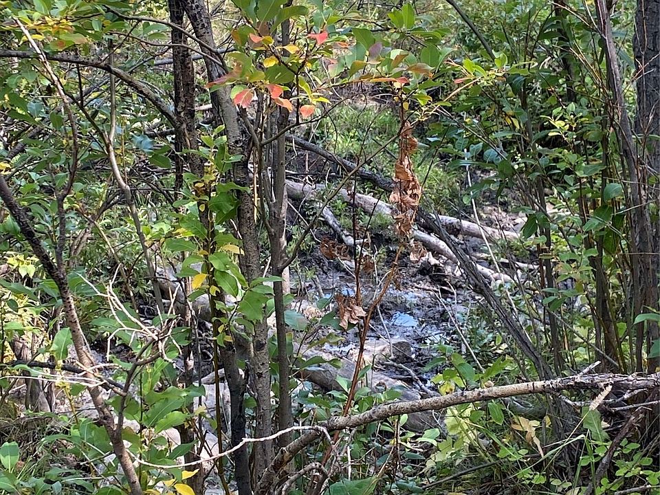 Nhn Arlie Tracts LOT 30, Babb, MT 59411 MLS 30014612 Zillow