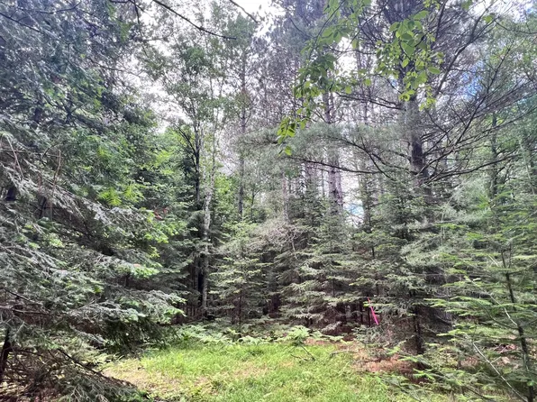 LOT 5 Eagle Waters Rd, Eagle River, WI 54521