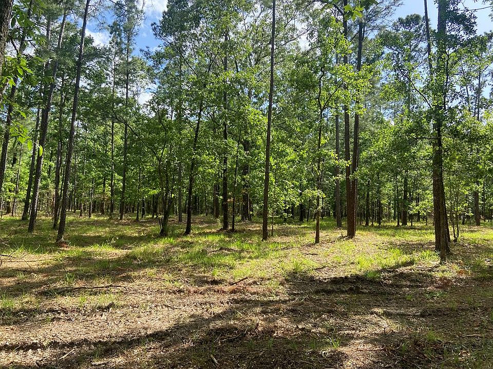 221 Airstream Harbor Rd, Zavalla, TX 75980 Zillow