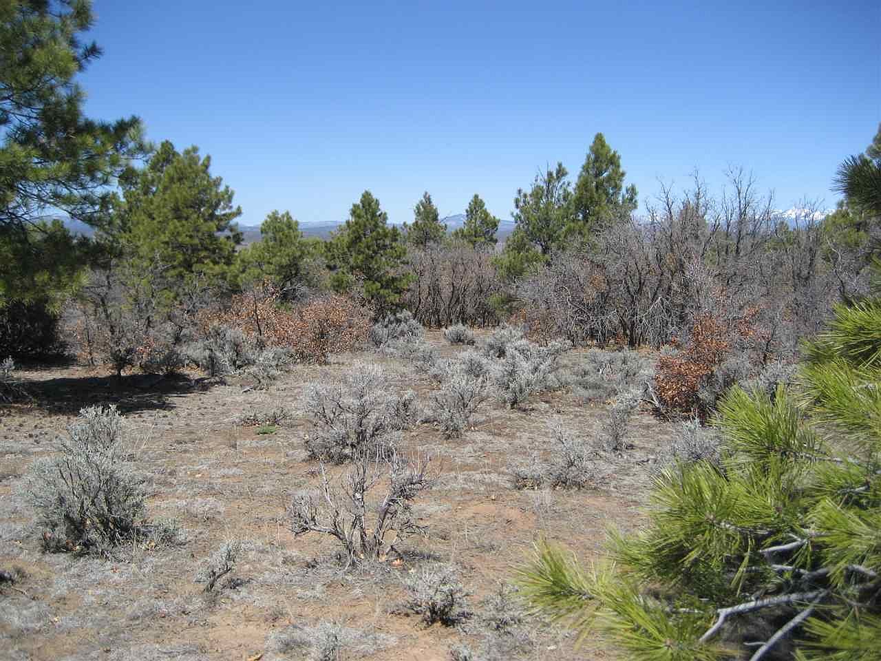 30C T 1, Tierra Amarilla, NM 87575 Zillow