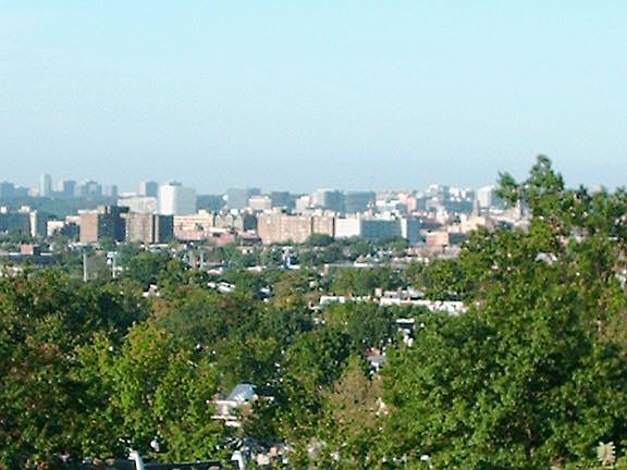 View from Roof Deck
