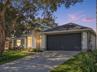 313 Hampton Hills Ct, Debary, FL 32713