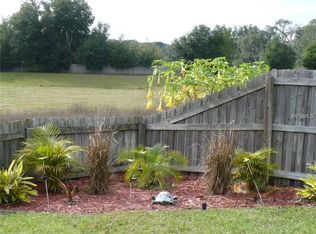 3019 Summer Cruise Dr, Valrico, FL 33594