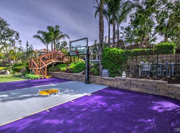 Basket Ball 1/2 Court 