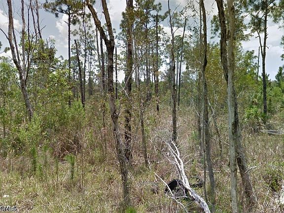 5th image of 2258 Brooklawn Dr
