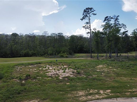 3rd image of Cypress Cv