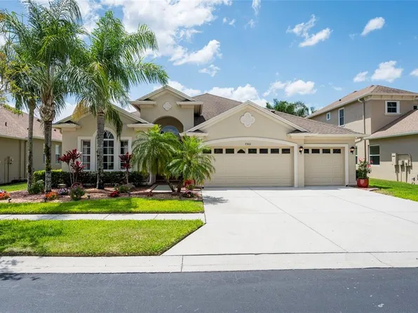 3300 Stonegate Falls Dr, Land O Lakes, FL 34638