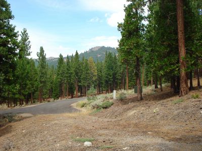 307 Big Cedar Ln, Portola, CA, 96122