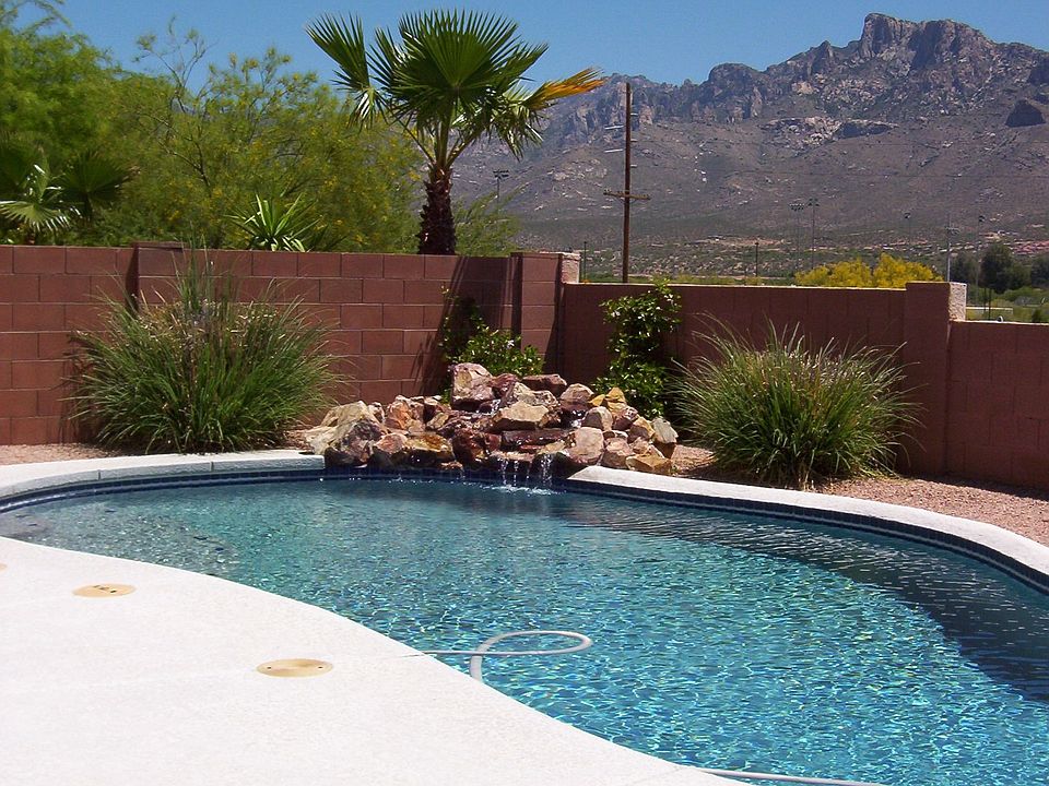 Pool / backyard