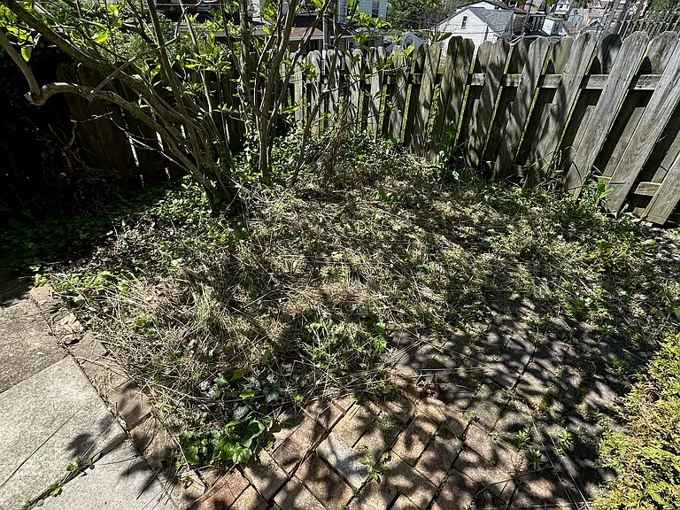 225 Alries St — Photo 15