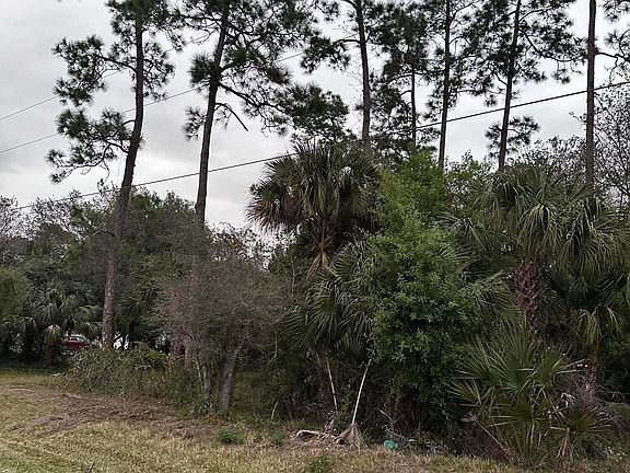 2nd image of 339 Montura Avenue