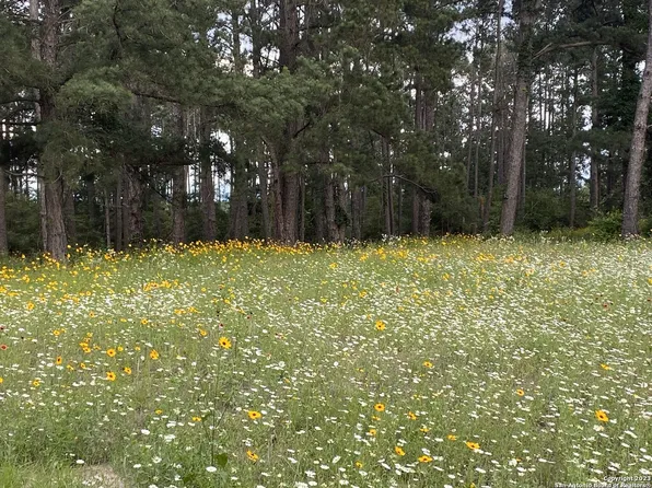 254 Pine View Loop LOT 63, Bastrop, TX 78602