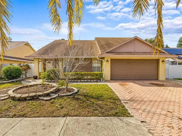 7052 Hollowell Dr, Tampa, FL 33634