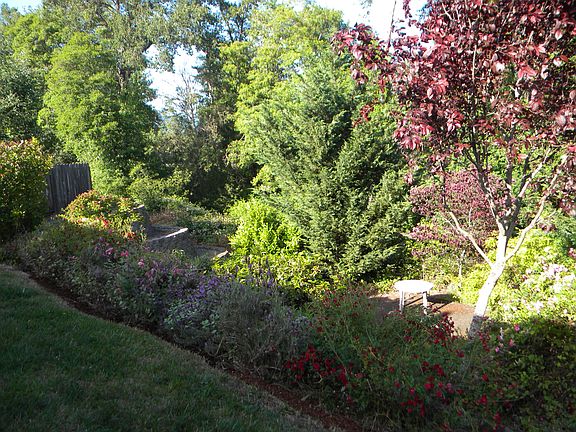 Backyard Landscaping