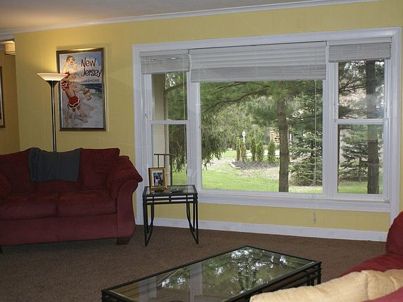 Sunshine and Mature Trees right from your living room