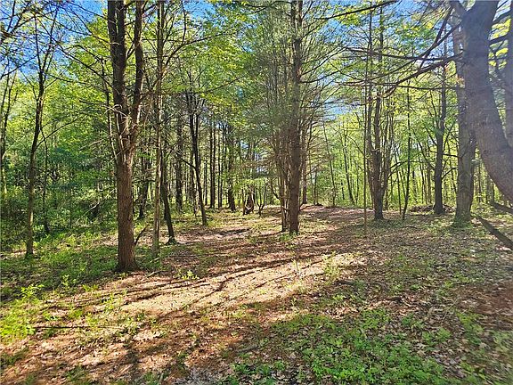 5th image of 9595 Bull Hill Rd
