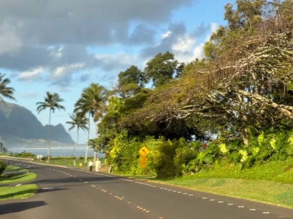 5301 Ka Haku Rd #114, Princeville, HI 96722