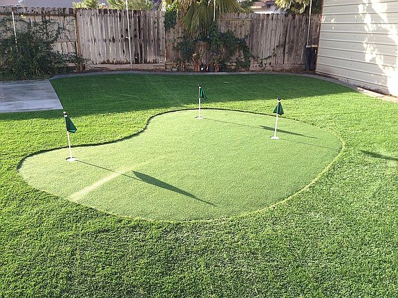 Backyard artificial grass