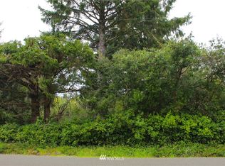 152 Satsop St SW, Ocean Shores, WA 98569