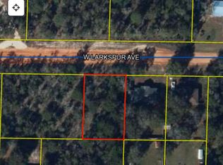 4 W Larkspur Ave, Defuniak Springs, FL 32433