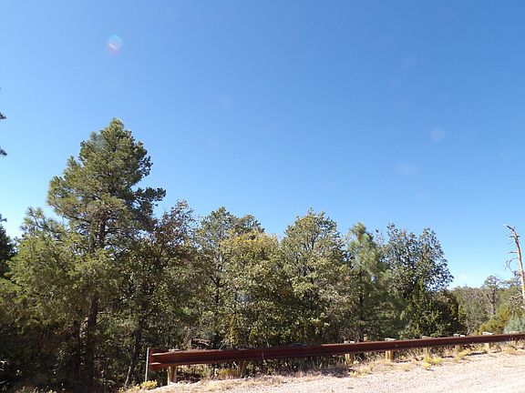 3rd image of 3642 Pinehurst Dr