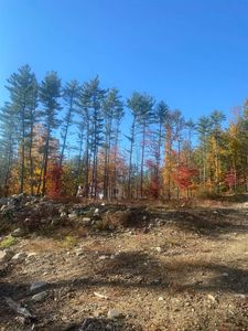 133 Wilson Hill Road, Merrimack, NH, 03054