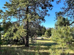529 Falcon Pl, Pagosa Springs, CO 81147